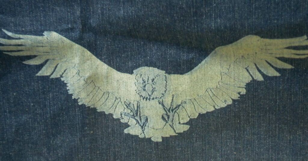 A close up of an owl on the back of jeans